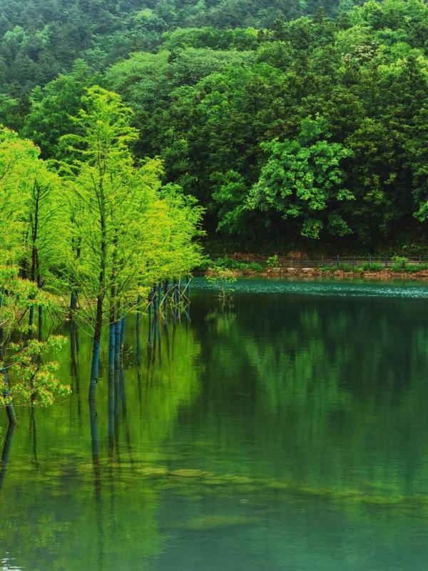 马鞍山市博望区：春路雨添花 山间春色明