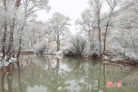 四月飞雪 祁连山下美如画