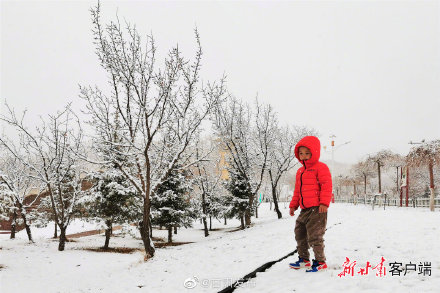 四月飞雪 祁连山下美如画