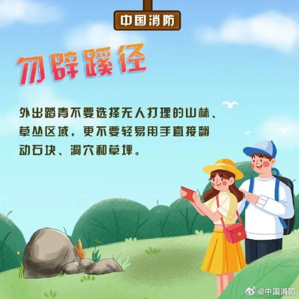 头皮发麻！被咬一口后，眼镜王蛇又爬上广西阿伯的肩膀！