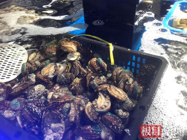 鲍鱼低至1元/只，武汉人可轻松吃上平价小海鲜