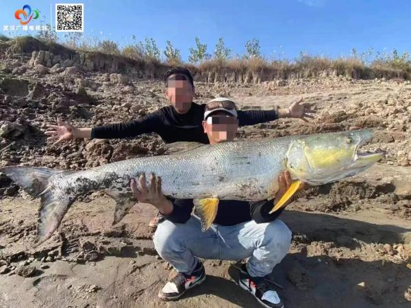 他钓到一条长2米重80斤的“水老虎” ,然后就悲剧了 他钓到一条长2米重80斤的“水老虎” ,然后就悲剧了