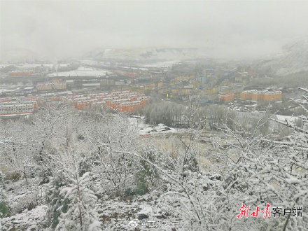 四月飞雪 祁连山下美如画