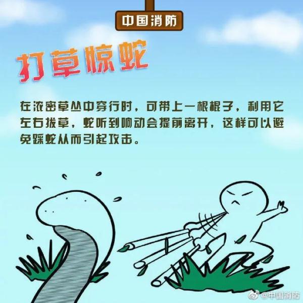 头皮发麻！被咬一口后，眼镜王蛇又爬上广西阿伯的肩膀！