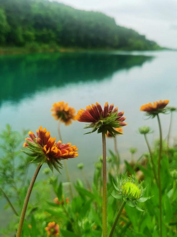 马鞍山市博望区：春路雨添花 山间春色明