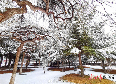 四月飞雪 祁连山下美如画