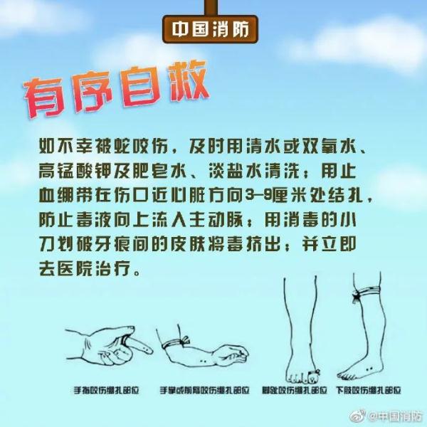 头皮发麻！被咬一口后，眼镜王蛇又爬上广西阿伯的肩膀！
