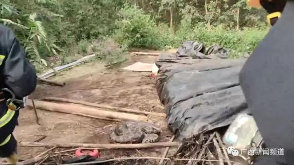 惊险！7旬老伯与两米长眼镜王蛇“深情”对视三四秒，成功吓退毒蛇