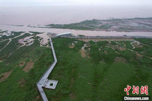 福建启动湿地保护宣传周 总结20年来闽江河口湿地保护实践