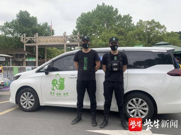 南京流浪猴被抓细节曝光：志愿者追踪4天，趁其在树上睡觉时抓获