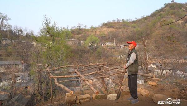 75岁老农民深山里写出700余首诗:“要把土地当成生命一样疼爱” 75岁老农民深山里写出700余首诗:“要把土地当成生命一样疼爱”