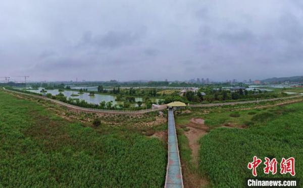 福建启动湿地保护宣传周 总结20年来闽江河口湿地保护实践