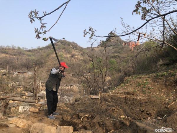 75岁老农民深山里写出700余首诗:“要把土地当成生命一样疼爱” 75岁老农民深山里写出700余首诗:“要把土地当成生命一样疼爱”