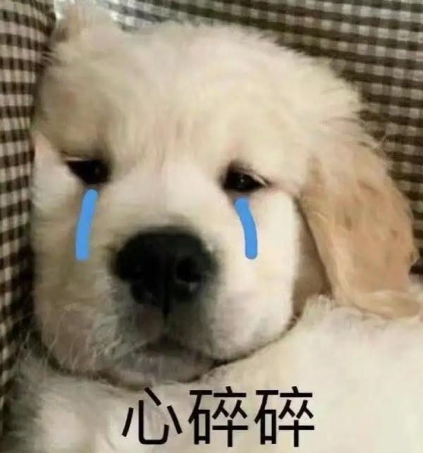 “五一”假期先冷后热，辽宁大部分城市气温直冲30℃！