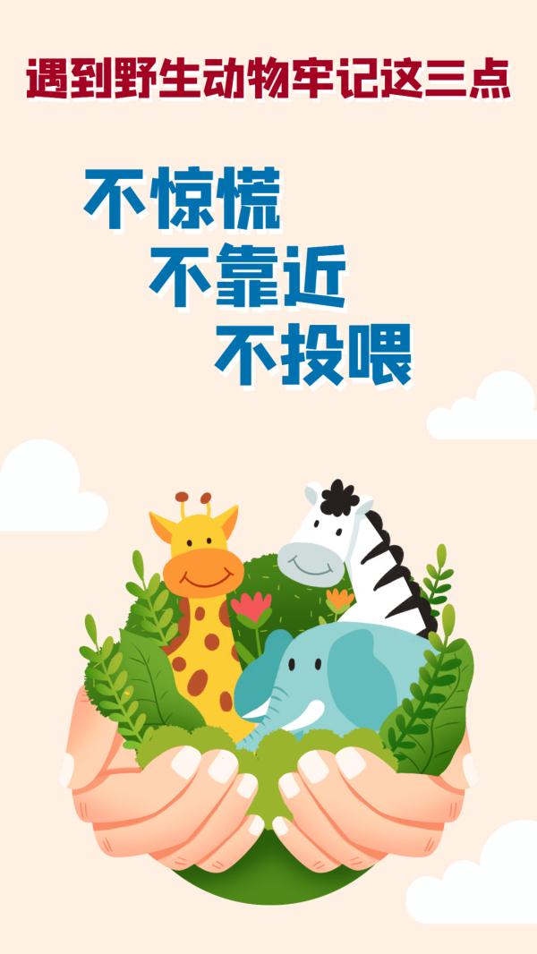 哈哈,这个“江洋大盗”,落网了! 哈哈,这个“江洋大盗”,落网了!