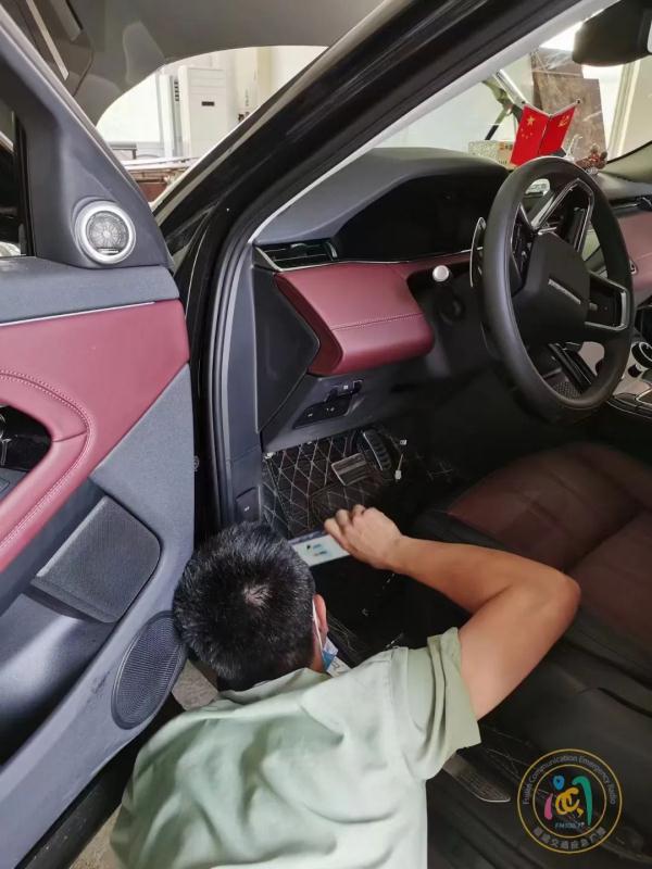 吓坏！车辆正在高速路上行驶，座椅下方突然跑出一只猫