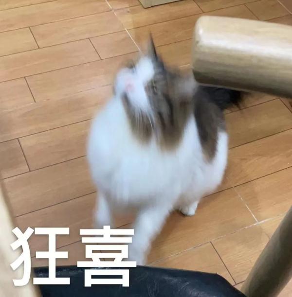 海口橙色预警！天气画风要变~“五一”假期→暴雨！大暴雨！