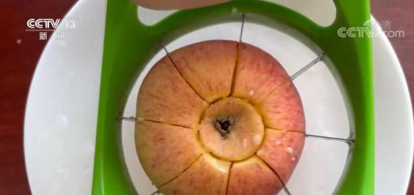 【走进老区看新貌】洛川苹果名扬天下 苹果花开幸福来到 【走进老区看新貌】洛川苹果名扬天下 苹果花开幸福来到