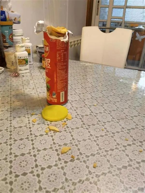 哈哈,这个“江洋大盗”,落网了! 哈哈,这个“江洋大盗”,落网了!