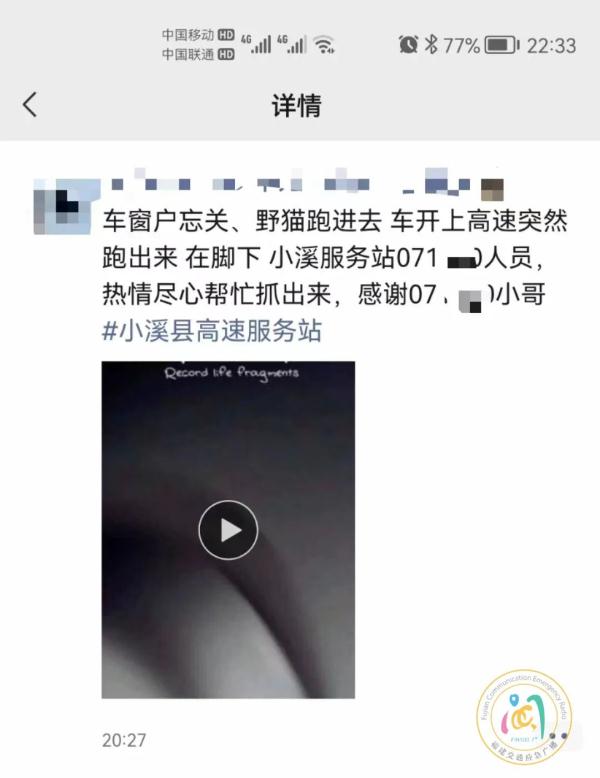 吓坏！车辆正在高速路上行驶，座椅下方突然跑出一只猫