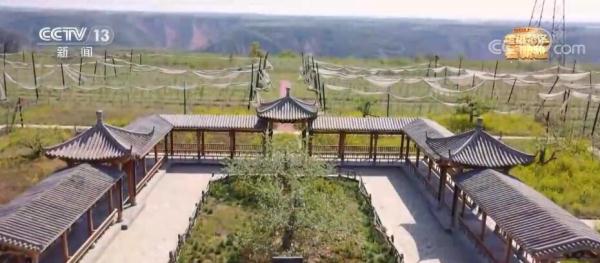 【走进老区看新貌】洛川苹果名扬天下 苹果花开幸福来到 【走进老区看新貌】洛川苹果名扬天下 苹果花开幸福来到