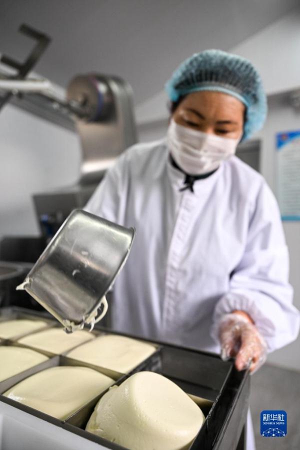 传统奶食品助牧民增收