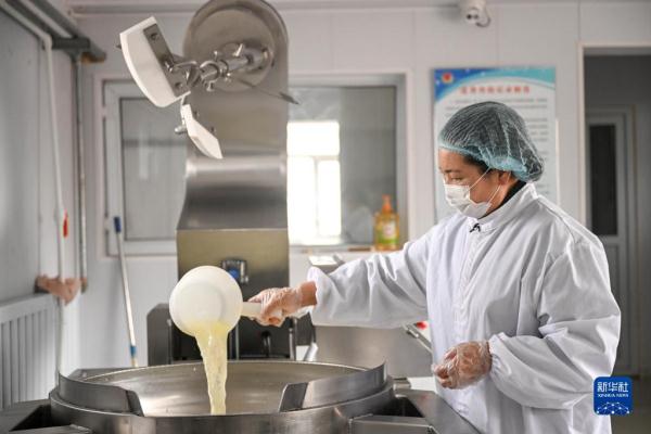 传统奶食品助牧民增收