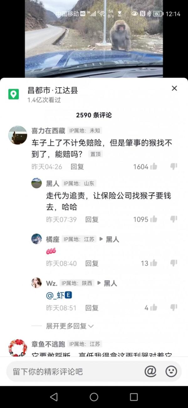 男子称汽车雨刮器被猴子掰断欲索赔，保险公司：人为损坏，不赔