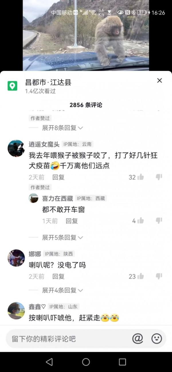 男子称汽车雨刮器被猴子掰断欲索赔，保险公司：人为损坏，不赔