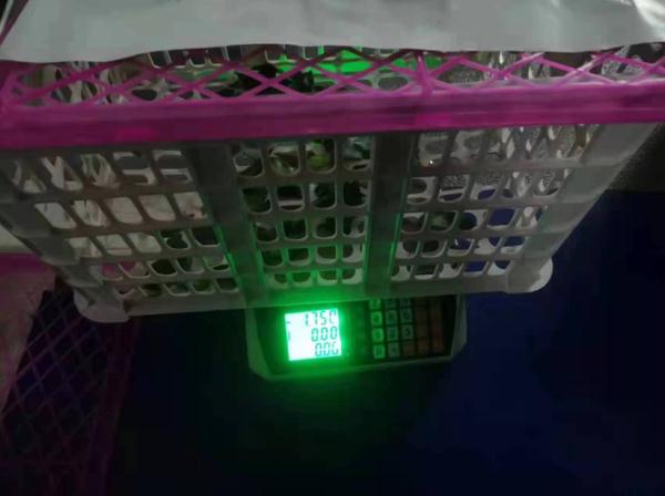 面类制品翻倍卖,团购货不对板……上海通报一批“借疫生财”典型案例查办情况 面类制品翻倍卖,团购货不对板……上海通报一批“借疫生财”典型案例查办情况