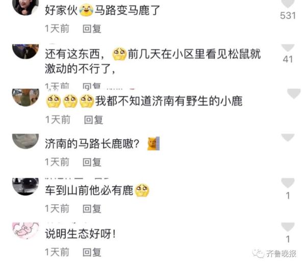 是“压马鹿”，不是“轧马路”！