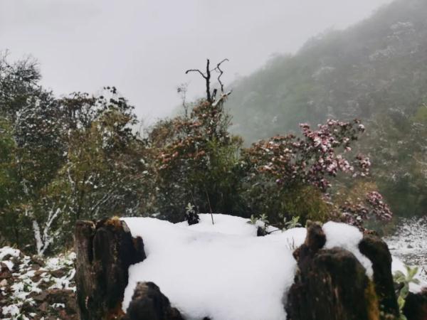 云南昆明、曲靖、昭通、楚雄等地降雪了！未来24小时天气为……