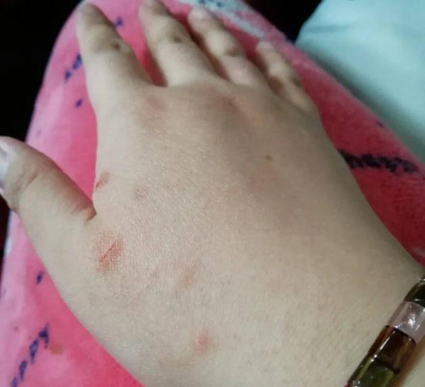 被主人带进方舱的猫猫，顺利毕业啦