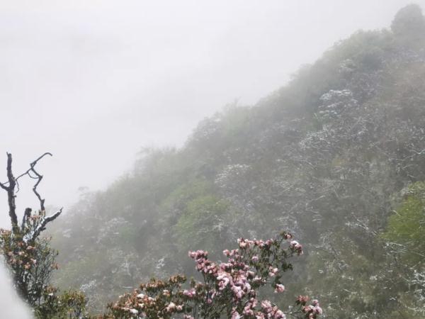 云南昆明、曲靖、昭通、楚雄等地降雪了！未来24小时天气为……