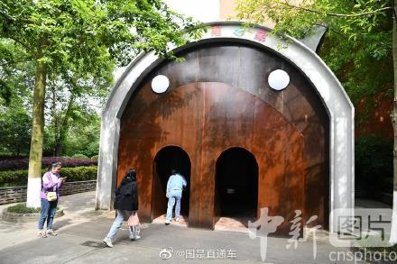 图说国是|汶川地震“猪坚强”标本新家布置完成 图说国是|汶川地震“猪坚强”标本新家布置完成