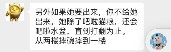 被主人带进方舱的猫猫，顺利毕业啦