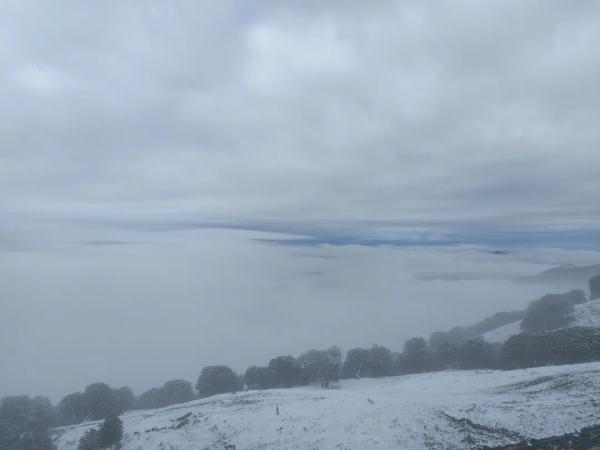 云南昆明、曲靖、昭通、楚雄等地降雪了！未来24小时天气为……