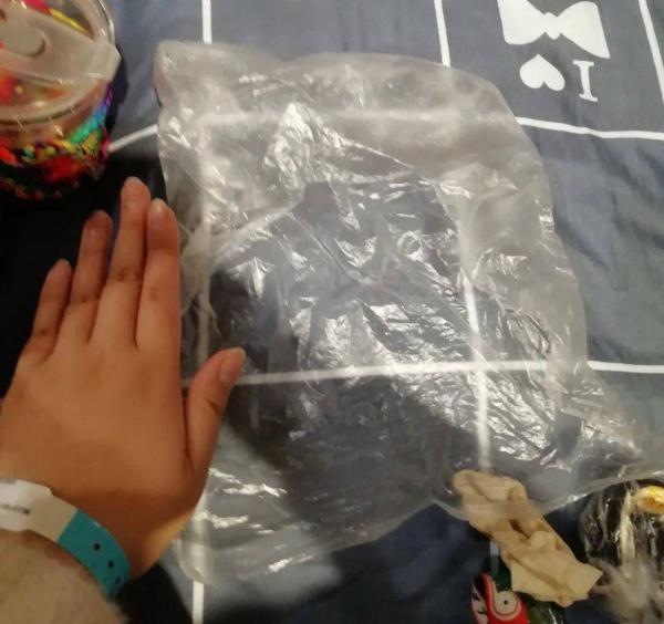 被主人带进方舱的猫猫，顺利毕业啦