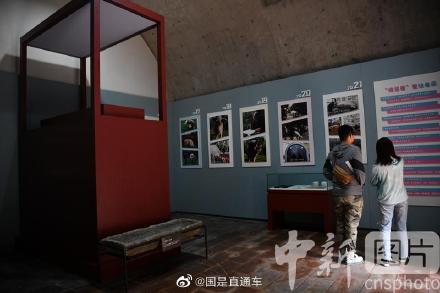 图说国是|汶川地震“猪坚强”标本新家布置完成 图说国是|汶川地震“猪坚强”标本新家布置完成
