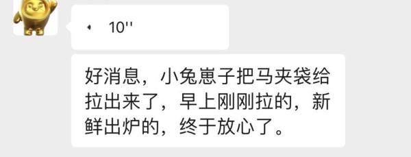 被主人带进方舱的猫猫，顺利毕业啦