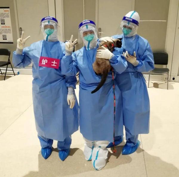 被主人带进方舱的猫猫，顺利毕业啦