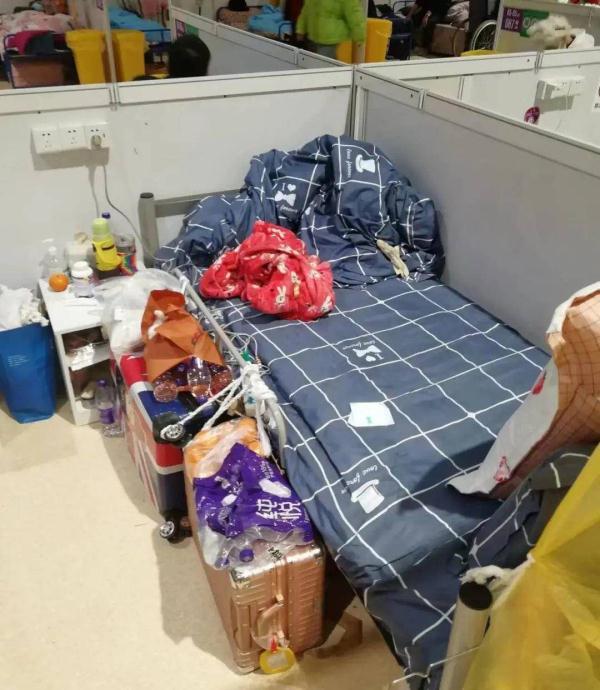 被主人带进方舱的猫猫，顺利毕业啦