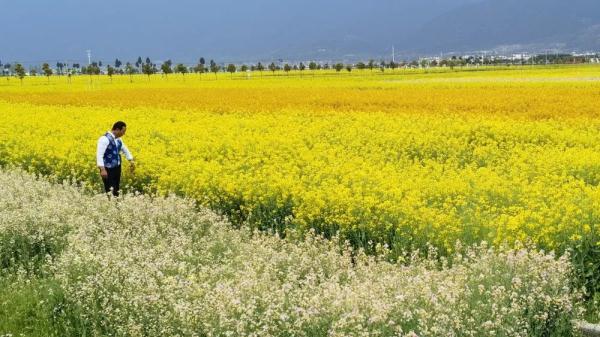 重拳出击！苍山洱海重新成为“诗和远方”