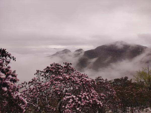 云南昆明、曲靖、昭通、楚雄等地降雪了！未来24小时天气为……