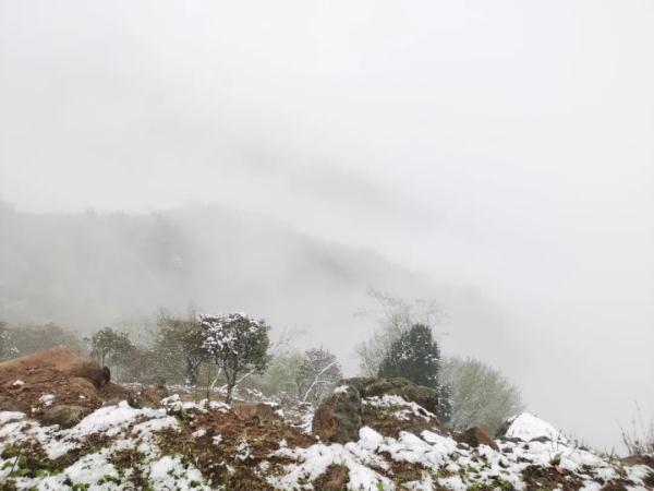 云南昆明、曲靖、昭通、楚雄等地降雪了！未来24小时天气为……