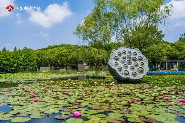 花开正好，南京玄武湖五一赏花攻略来了