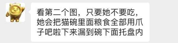 被主人带进方舱的猫猫，顺利毕业啦