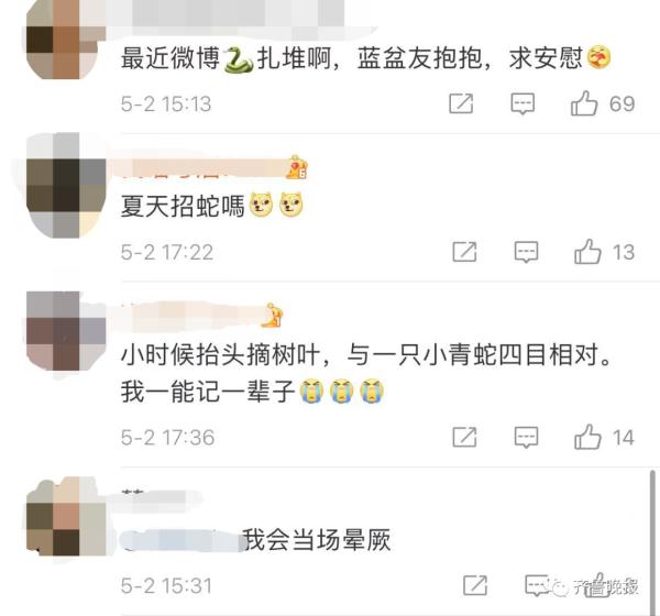剧毒！居民村头散步碰上3米长眼镜王蛇！警方提醒