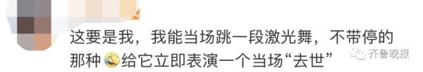 剧毒！居民村头散步碰上3米长眼镜王蛇！警方提醒