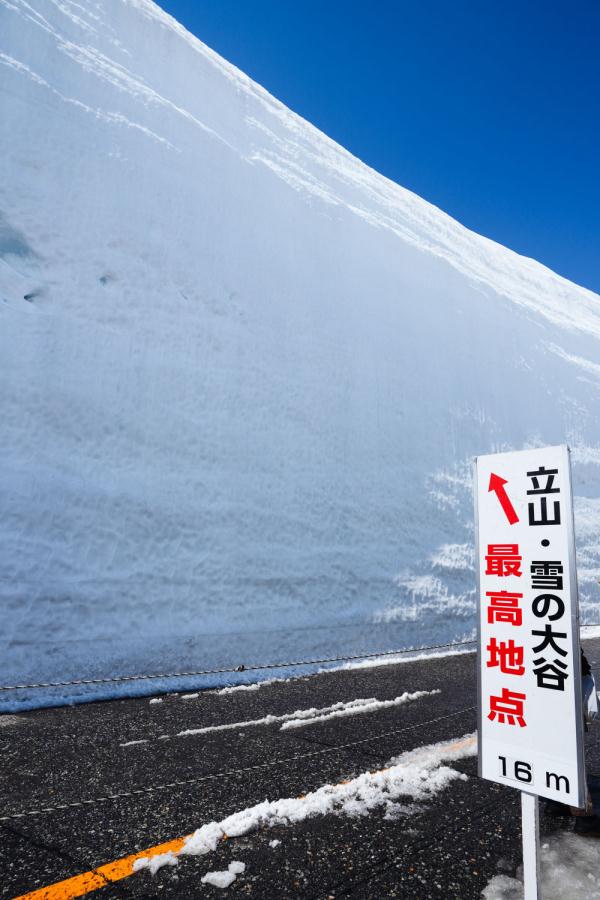 日本：春日白雪